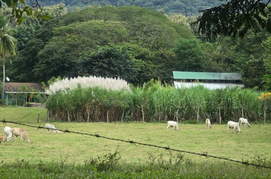 5 Razones Para Visitar San Juan